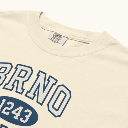 Unisex Brno 1243 Czech Republic T-shirt with collegiate style typography
