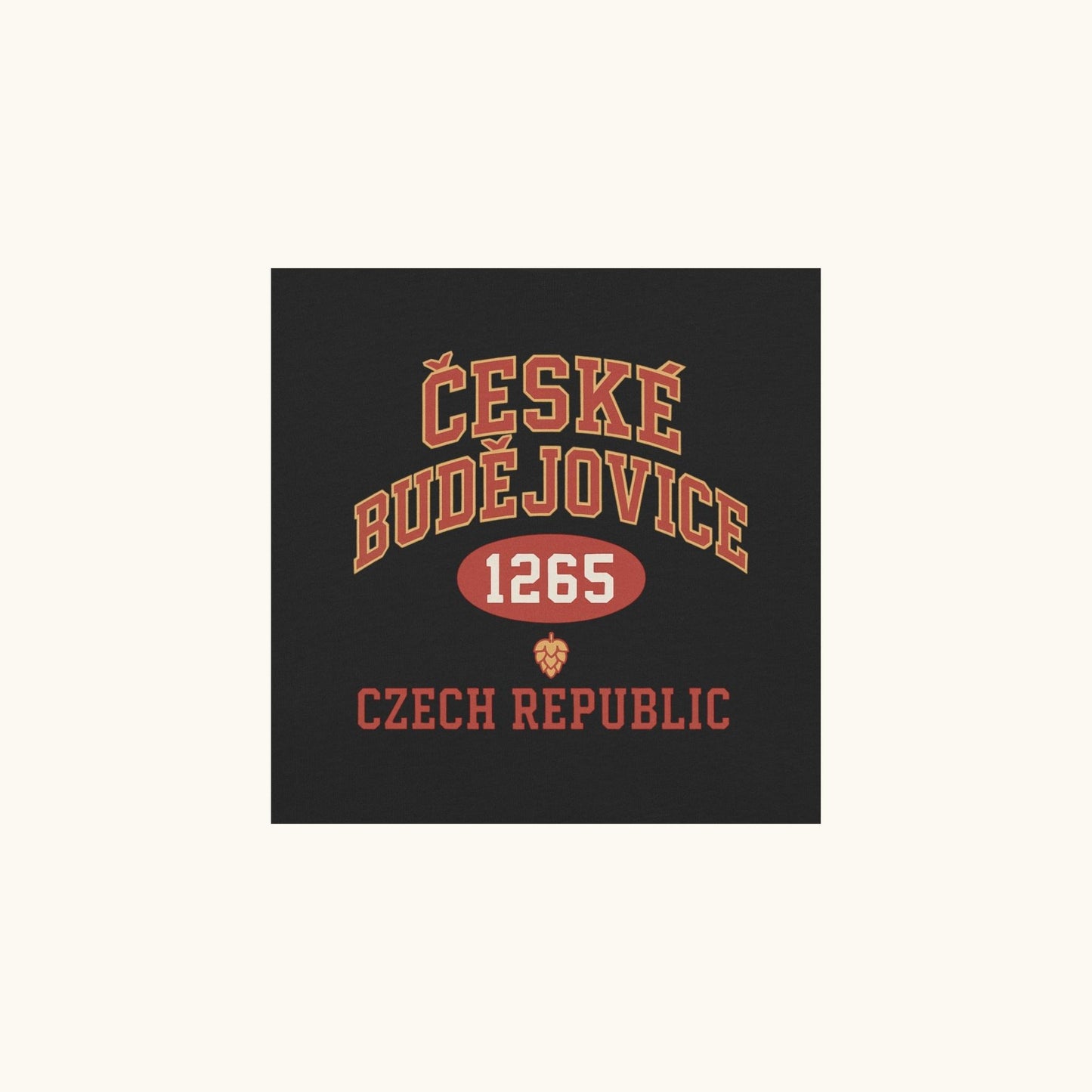 Czech t-shirt with České Budějovice 1265 vintage collegiate design