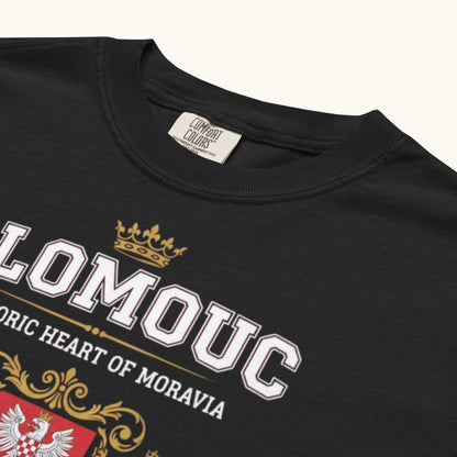 Unisex t-shirt with Olomouc Historic Heart of Moravia crest and golden lions design

